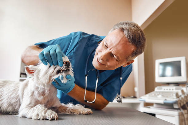 Best Emergency Tooth Extraction in Kempner, TX