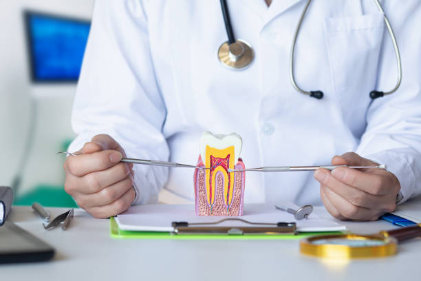 Best Weekend Emergency Dentist in Kempner, TX